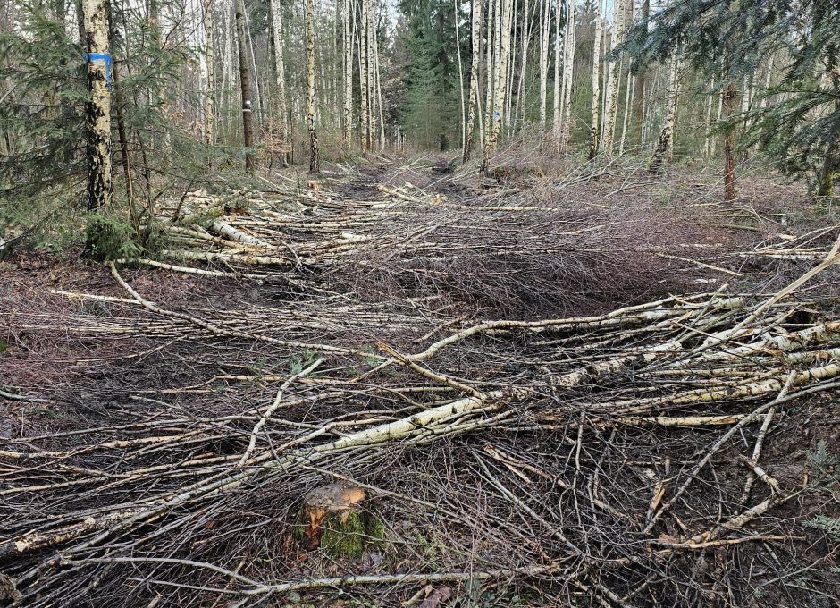 Biomasse auf Rückegasse