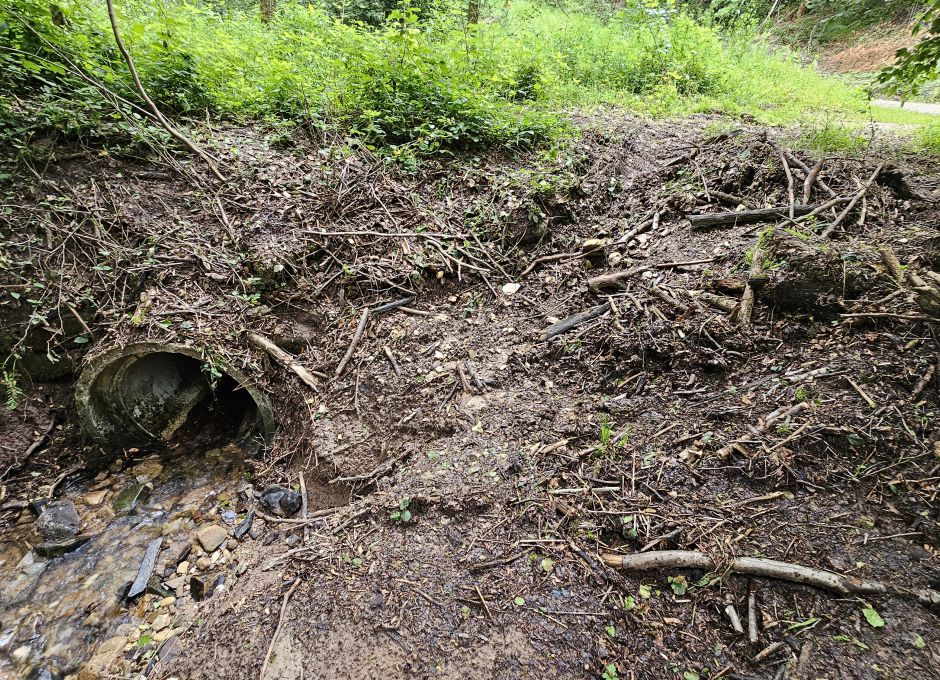 Mit Biomasse verstopfter und eiligst freigemachter Waldbachabfluss