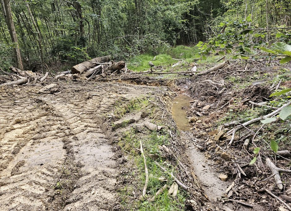 Zum Schutz der Maschinenwege - im Natura2000 Schutzgebiet - Graben gezogen zum schnelleren Abfluss von Regenwasser