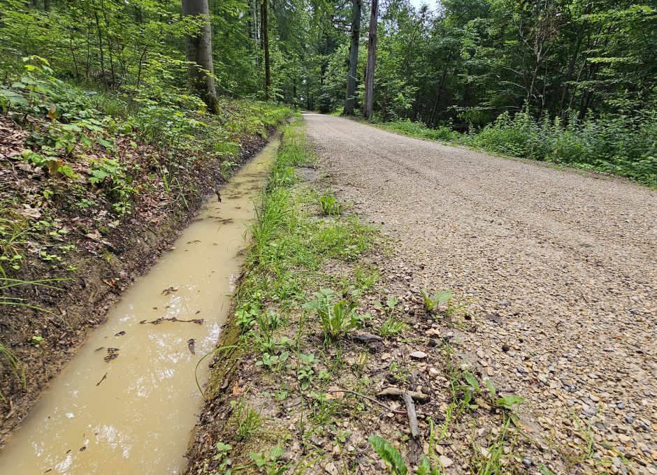 Schnelle Ableitung von Regenwasser in die Täler durch bauliche Maßnahmen im Wald