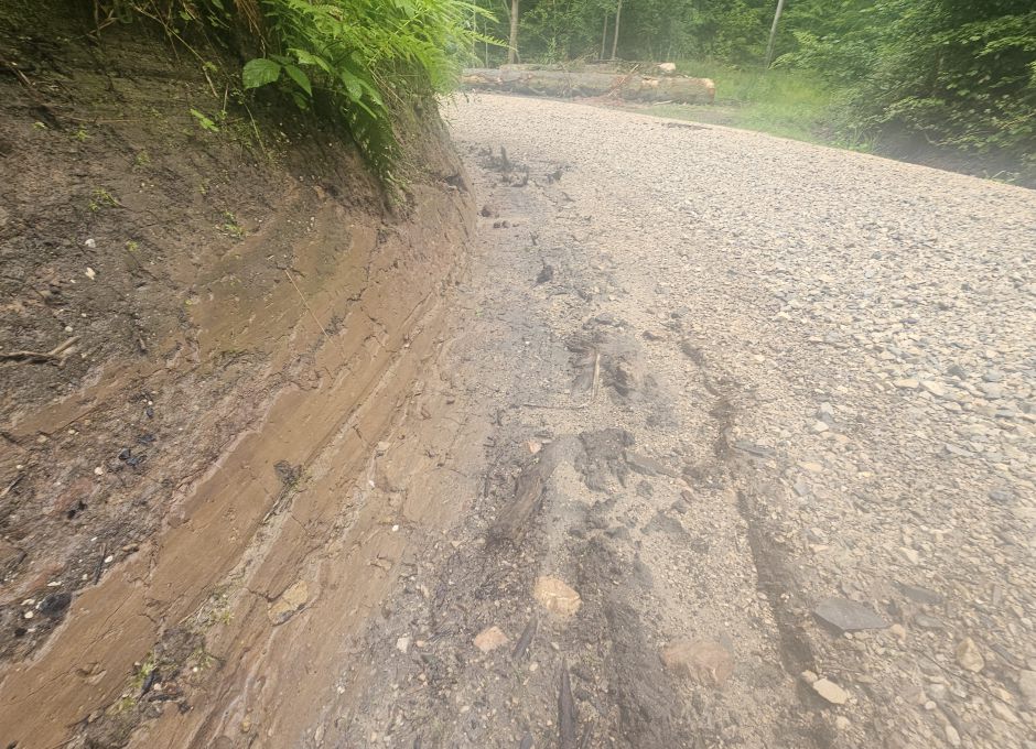 Wasser kann nicht versickern. Links verdichteter Hang rechts verdichteter Maschinenweg. Schnelle Ableitung von Wassermassen hangabwärts