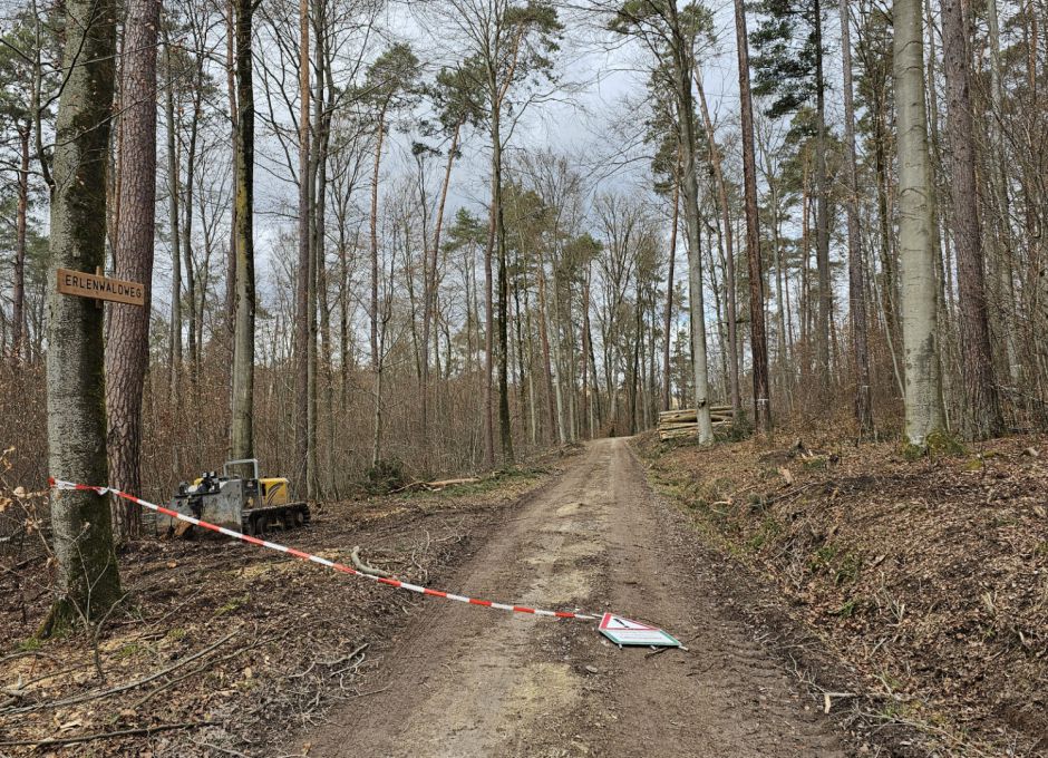 Absicherung des Rodungsgebietes