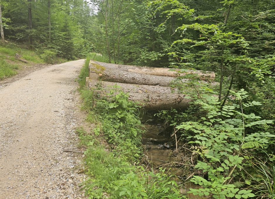 Holzabladeplatz auf Bachlauf