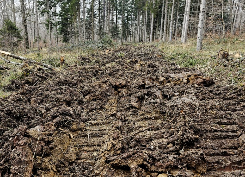 Durchpflügter Waldboden