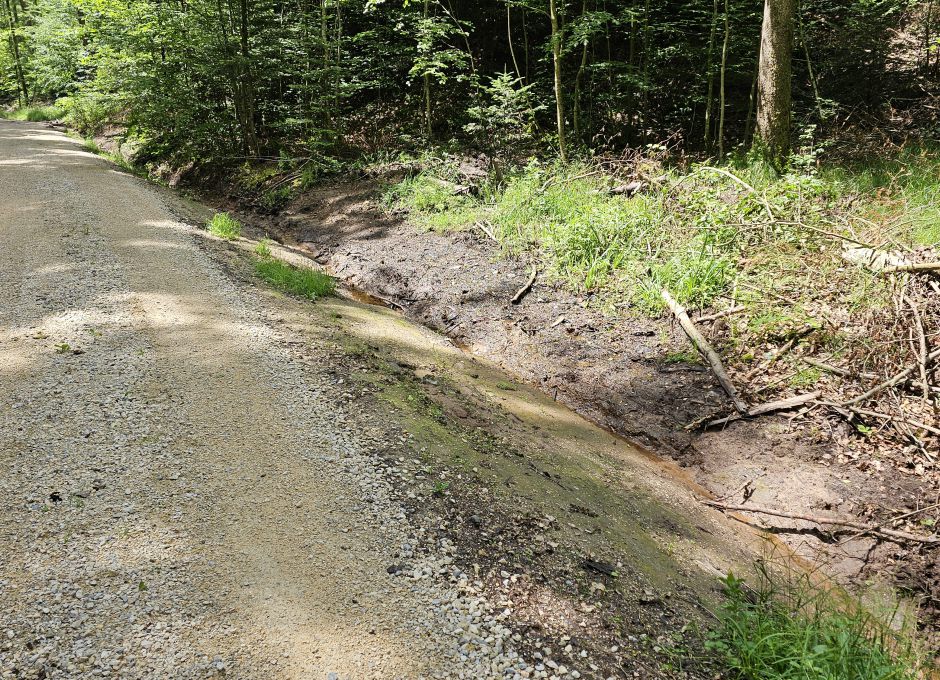 Tiefe Gräben entlang der Maschinenwege leiten das Regenwasser schnell Talabwärts