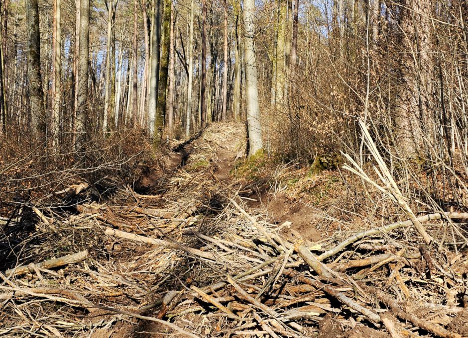 Extrem tiefes Einsinken - trotz Biomasse auf Rückegasse (Steilhang)