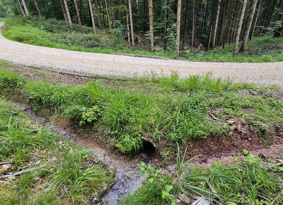 Frisch gezogene Gräben entlang der Maschinenwege entwässern den Wald und leiten das Wasser schneller in die Täler