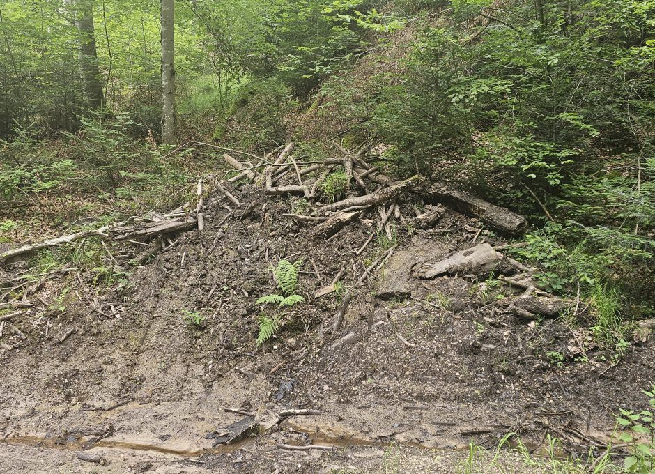 Biomasse verstopft den Wasserabfluss